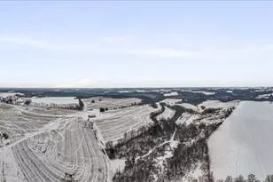 E8527 Nelson Rd, Kickapoo, WI 54652 - Photo 79
