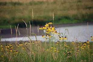 7225 Mariner Dr, Racine, WI 53406 - Photo 41