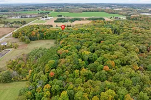 N8569 Rhine Forest Ln, Rhine, WI 53020 - Photo 37