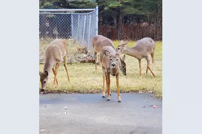 15725  Gebhardt Rd, Brookfield, WI 53005 - Photo 45