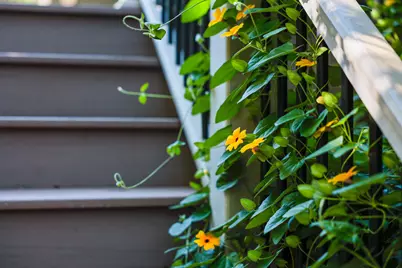 303  Washington Dr, Trenton, WI 53095 - Photo 69