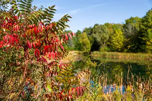 303 Washington Dr, Trenton, WI 53095 - Photo 79