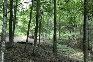 E13332 State Hwy 82 -, Stark, WI 54639 - Photo 61