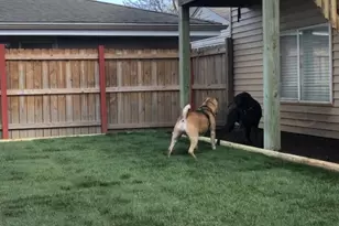 4012 53rd St, Kenosha, WI 53144 - Photo 43