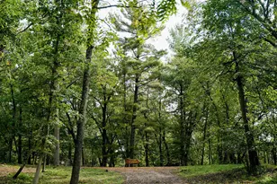 W3895 Timber Lake Rd, Troy, WI 53120 - Photo 59