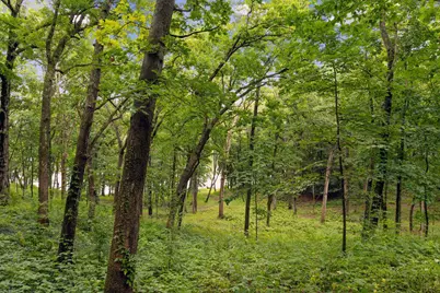 W3895  Timber Lake Rd, Troy, WI 53120 - Photo 9