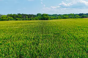 Lt2 3 Mile Rd, Racine, WI 53406 - Photo 5