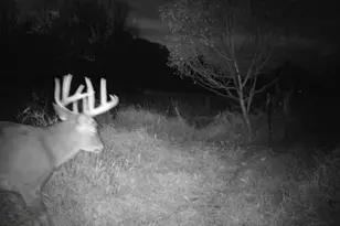 W179S8246 Pioneer Dr, Muskego, WI 53150 - Photo 41