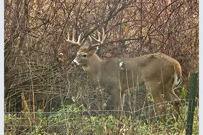 Lt2  Johnson Ln, Ashippun, WI 53059 - Photo 9