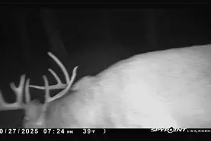 2540 18th Ave, Quincy, WI 53934 - Photo 41