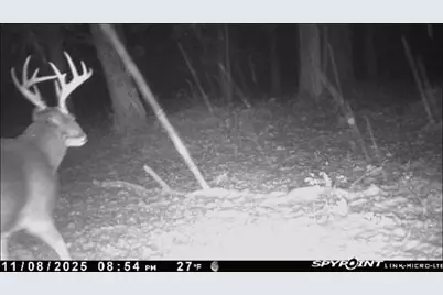 2540  18th Ave, Quincy, WI 53934 - Photo 39