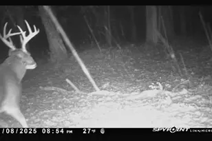 2540 18th Ave, Quincy, WI 53934 - Photo 39