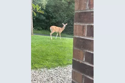 469  Country Club Dr #1, Lake Geneva, WI 53147 - Photo 21