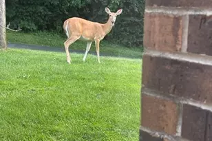 469 Country Club Dr, Lake Geneva, WI 53147 - Photo 21