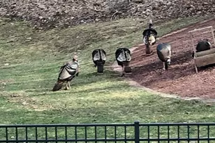 4451 Hartstone Dr, Polk, WI 53086 - Photo 39