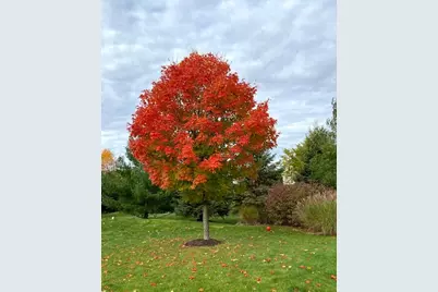 W283N6297  Hibritten Way, Hartland, WI 53029 - Photo 51