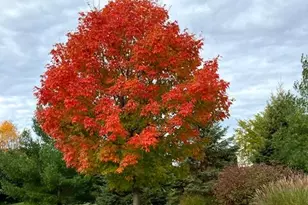 W283N6297 Hibritten Way, Hartland, WI 53029 - Photo 51