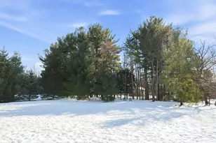 W283N6297 Hibritten Way, Hartland, WI 53029 - Photo 3