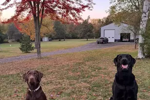 W928 Harmony Ln, East Troy, WI 53120 - Photo 43