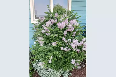 1022  Wisconsin Ave, Sheboygan, WI 53081 - Photo 33