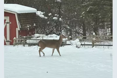 8824 W Dosie Ave, Greenfield, WI 53228 - Photo 39