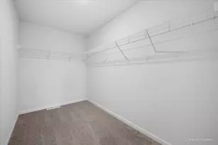 136 Spring Dr, Walworth, WI 53184 - Photo 19