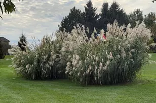 139 Legend Ct, Wales, WI 53183 - Photo 99