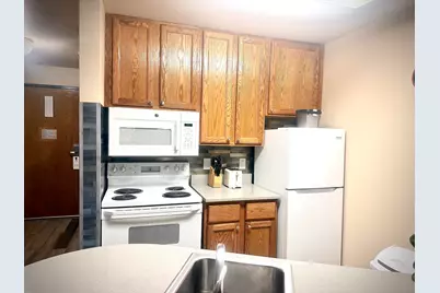 111  Center St #459, Lake Geneva, WI 53147 - Photo 5