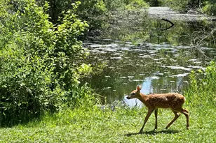 N6282 River Heights Dr, Plymouth, WI 53073 - Photo 27