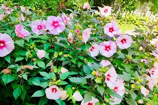 913 Chapel Hill Rd, Madison, WI 53711 - Photo 3