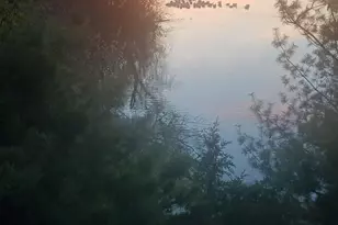 N2253 Main St, Weyauwega, WI 54983 - Photo 3