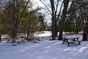 N2253 Main St, Weyauwega, WI 54983 - Photo 43