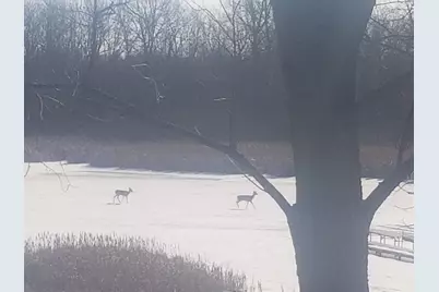 7715 W Wind Lake Rd, Racine, WI 53185 - Photo 47