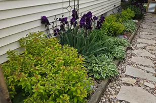 1239 Walton Ave, Racine, WI 53402 - Photo 37