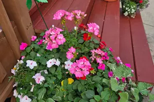 1239 Walton Ave, Racine, WI 53402 - Photo 41