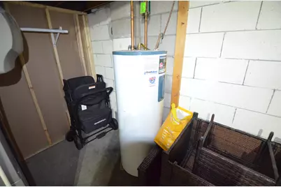 421  Meadow Ln, Eagle, WI 53119 - Photo 45