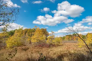 1815 Bark River Dr, Delafield, WI 53029 - Photo 39