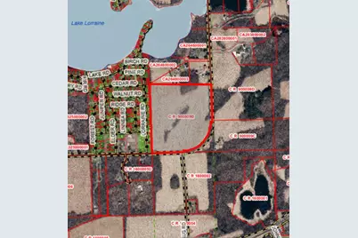 41 Acres  Lake Lorraine Rd, Richmond, WI 53115 - Photo 1