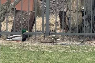 15245 W Woodland Dr, New Berlin, WI 53151 - Photo 57