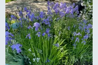 3265  San Juan Trl, Brookfield, WI 53005 - Photo 43