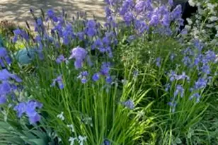 3265 San Juan Trail, Brookfield, WI 53005 - Photo 43