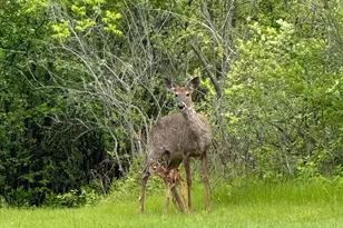 1746 Malibu Dr, Cedarburg, WI 53012 - Photo 57