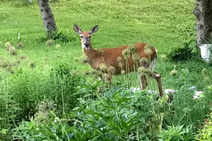 1746 Malibu Dr, Cedarburg, WI 53012 - Photo 59