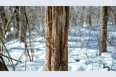 Lt0  Cth Xx -, Jefferson, WI 54665 - Photo 7