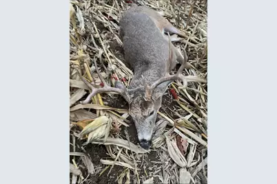 Lt0  Cth Xx -, Jefferson, WI 54665 - Photo 15