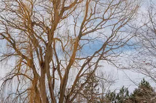 16422 82nd St, Bristol, WI 53104 - Photo 29