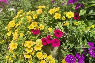 S74W14303 Settler Way, Muskego, WI 53150 - Photo 55