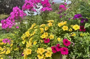 S74W14303 Settler Way, Muskego, WI 53150 - Photo 57