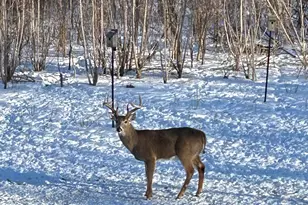 355 Havenwood Dr, Lake Geneva, WI 53147 - Photo 21