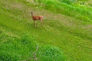 N2046 Orchard Valley Dr, Shelby, WI 54601 - Photo 47